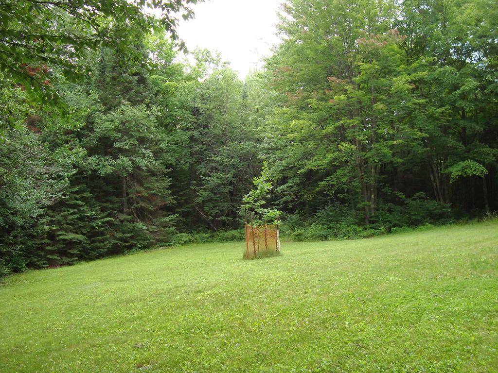 Grandpa Jim'S Cabin Montreal Eksteriør bilde